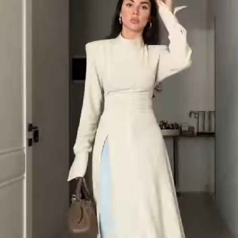 فستان نسائي أنيق طويل الأكمام  - مراجعة Women'S Formal Evening Wear Tops وسعره